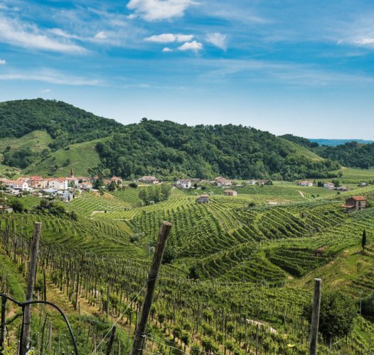 Colline del Prosecco, cosa vedere (23)