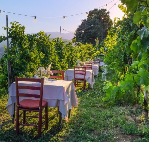 Colline del Prosecco, cosa vedere (29)