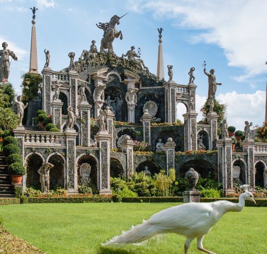 Isola Bella Lago Maggiore (VB) (11)